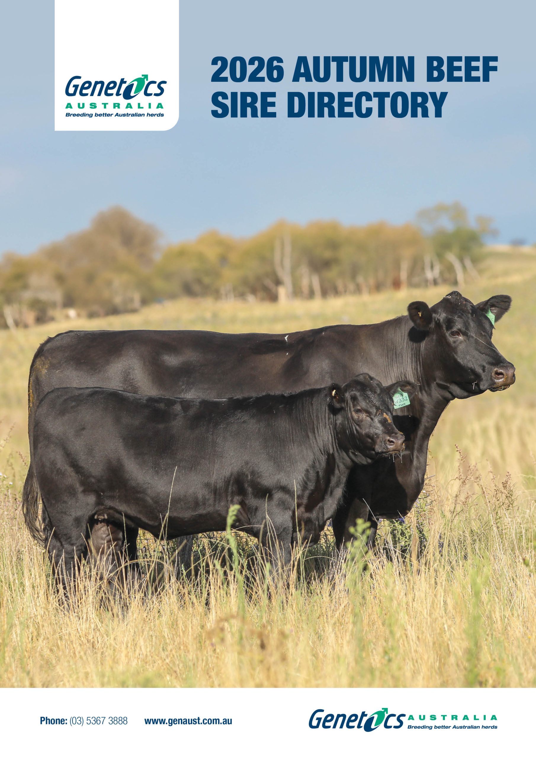 2026 Autumn Beef Update