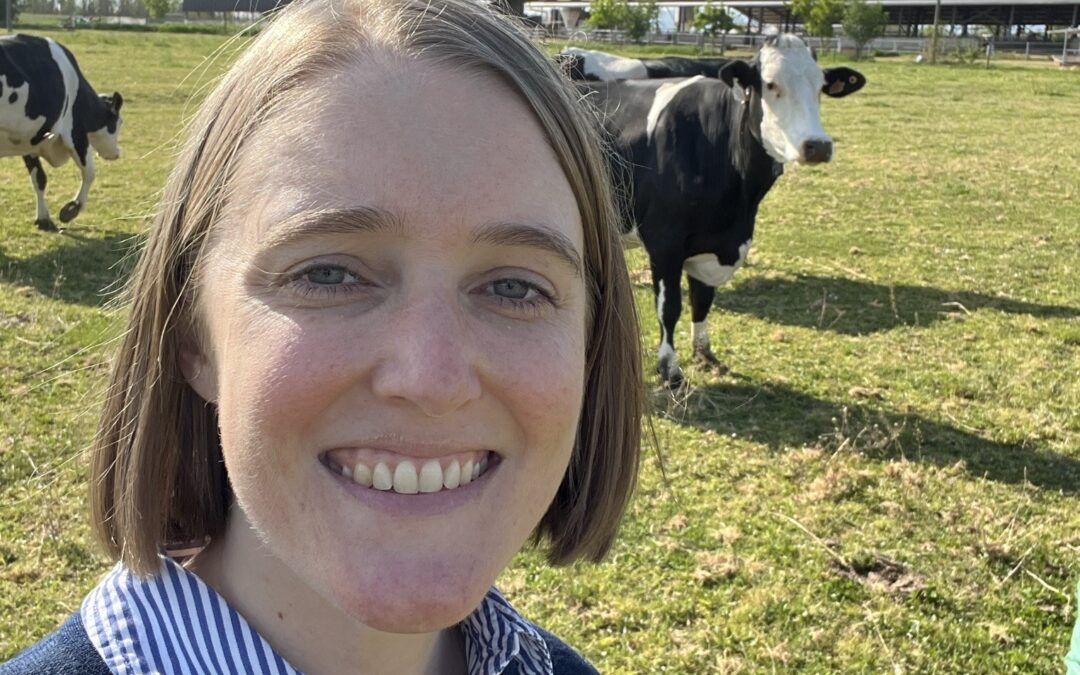 Beef On Dairy Opportunities