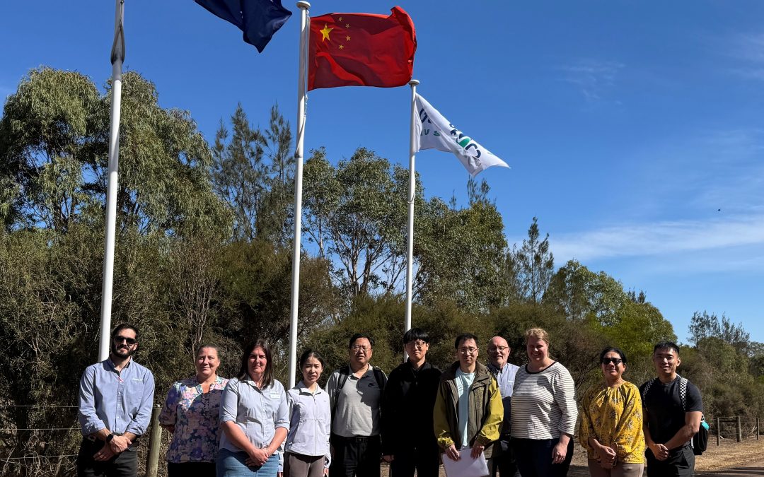 China: Export Update