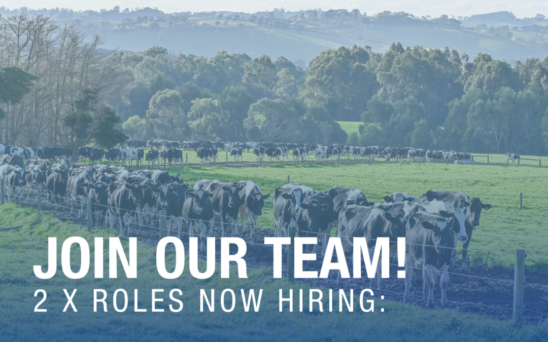 Join Our Team: 2 x Roles Now Hiring