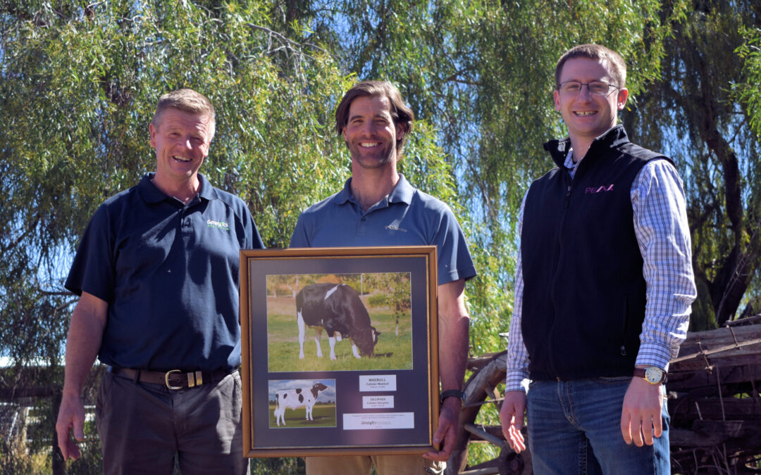 Open day to display milking daughters of polled sire