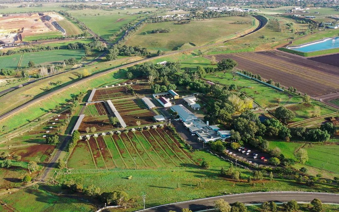Bacchus Marsh “bull farm” on the market