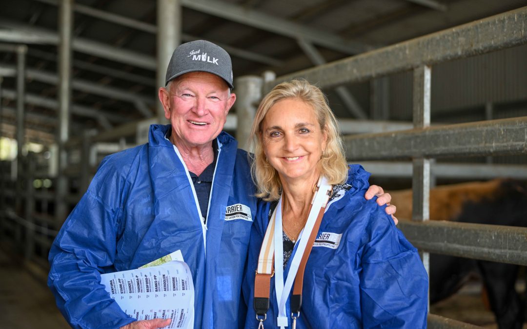 South African farmers look to Australia to boost herd quality