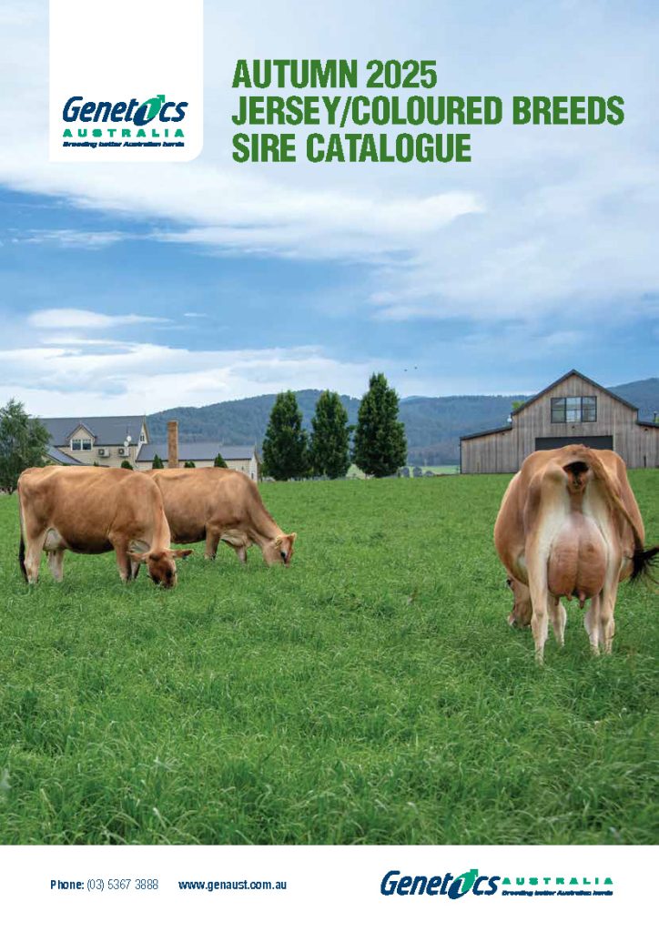 2025 Autumn Jersey, Reds & Colour Breeds Catalogue