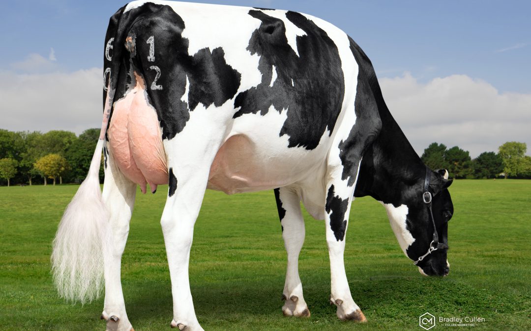 Exciting Options for Autumn Joining