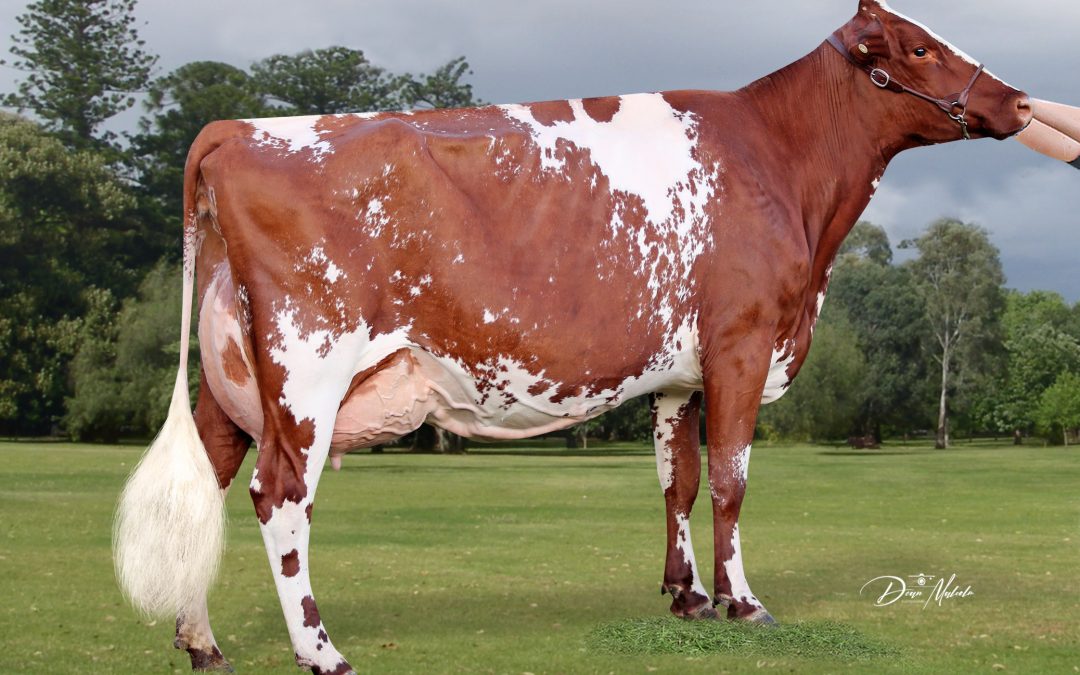 GBREWARD – Now available