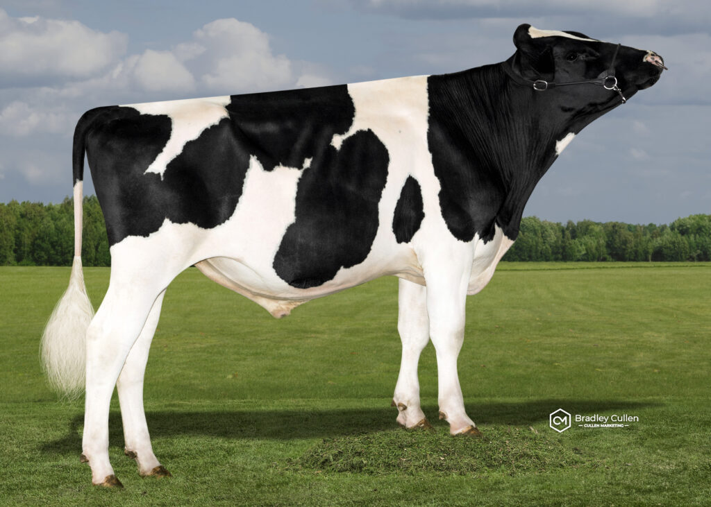 TBOLT - Product Image