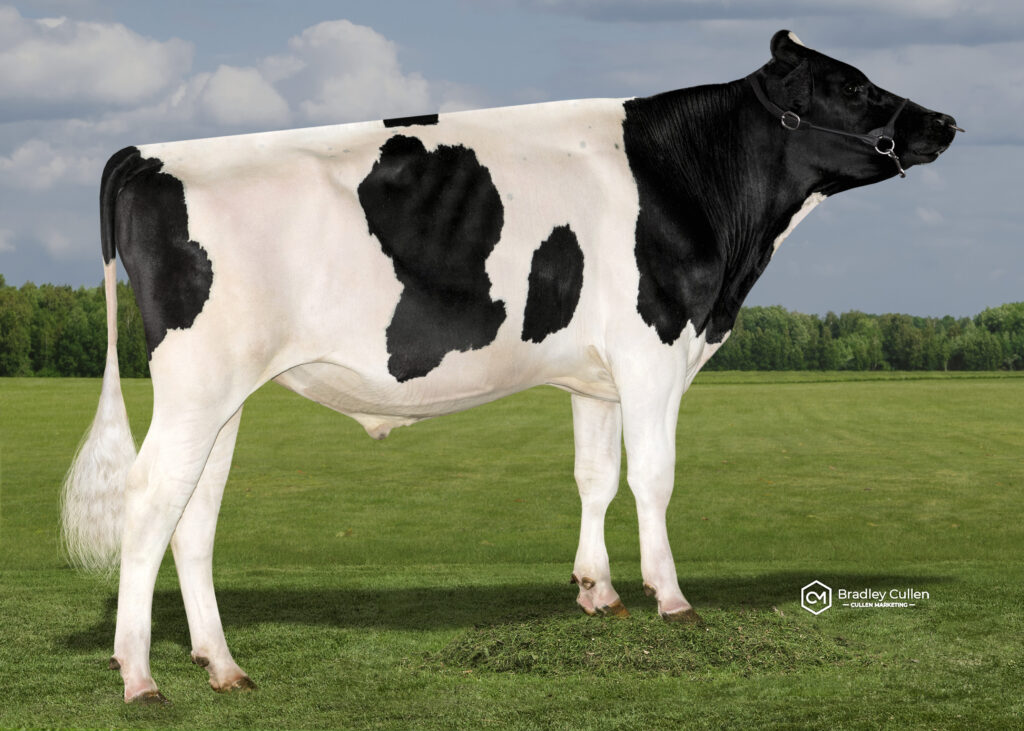 JOBOLT - Product Image