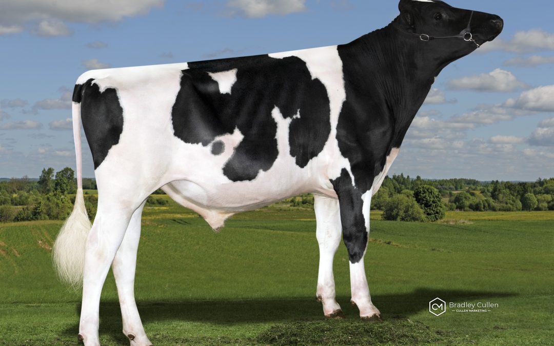 National Breeding Objective Review