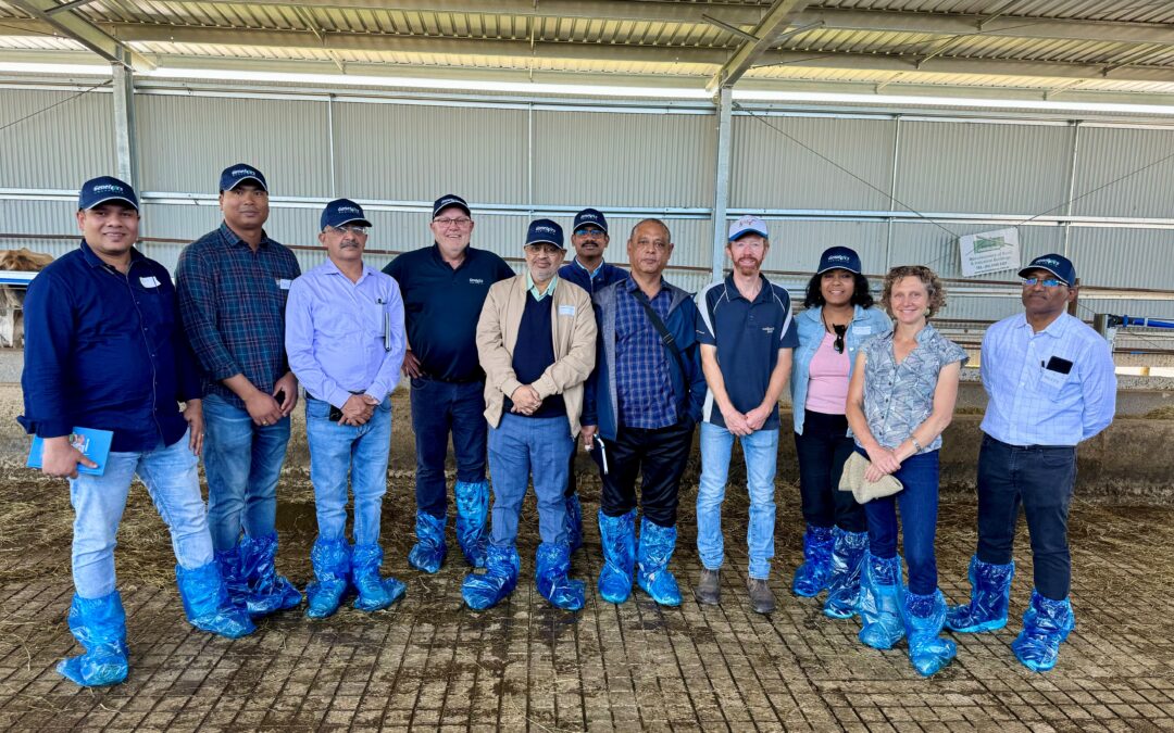 Export News | Rob Derksen