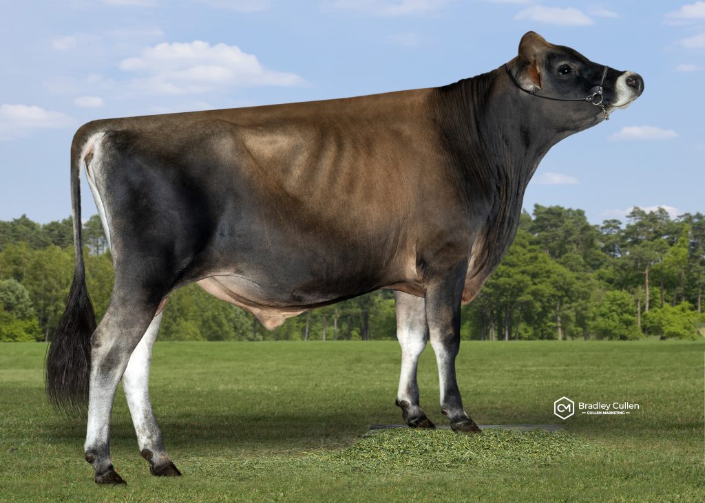 BELOVED - Product Image