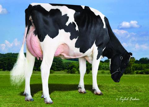 April 2020 – International Sire Summary