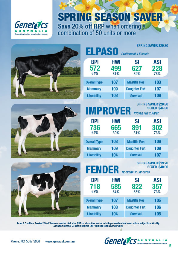 SPRING SEASON SAVER HOLSTEIN