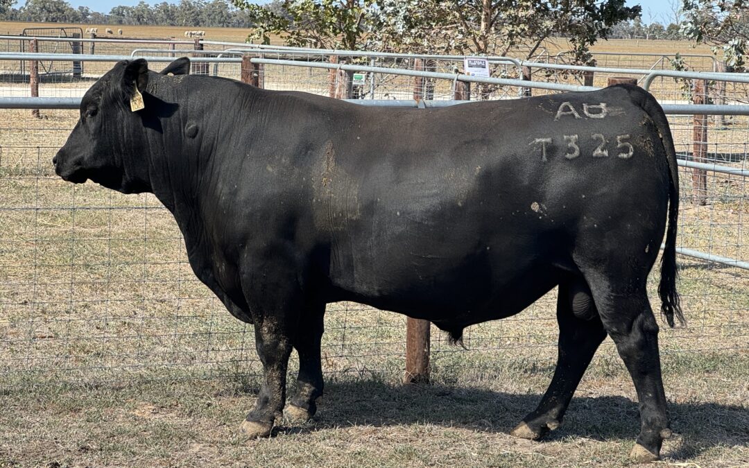 A True-Blue Curve Bender