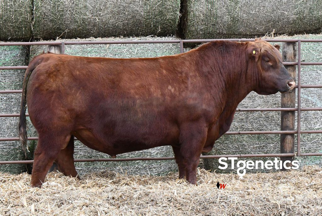 Six Mile Private Stock 32H - Product Image