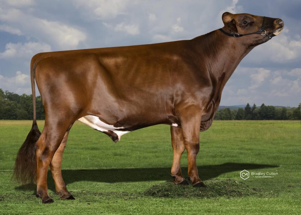 ARBMARNUS - Product Image