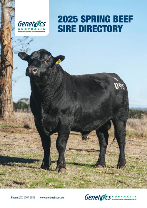 2025 Spring Beef Sire Directory