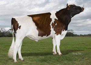 ARBCAESAR