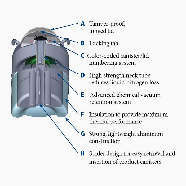 20 Litre Liquid Nitrogen Tank - MVE XC20 SIGNATURE - Image 3