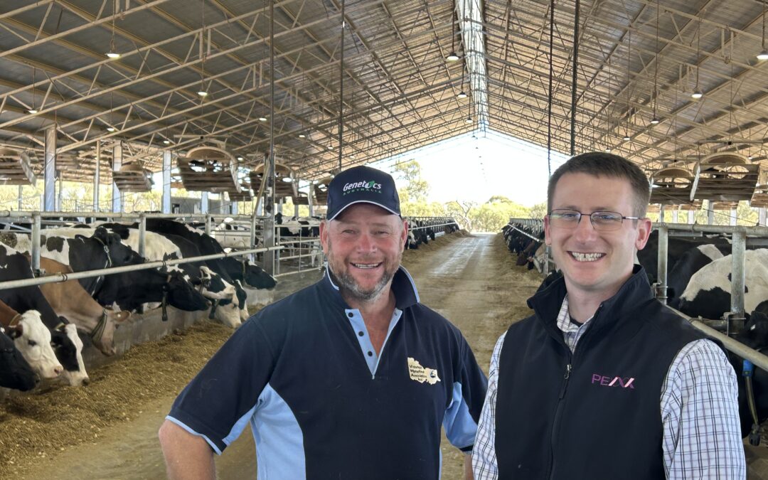 Co-Operation and Collaboration